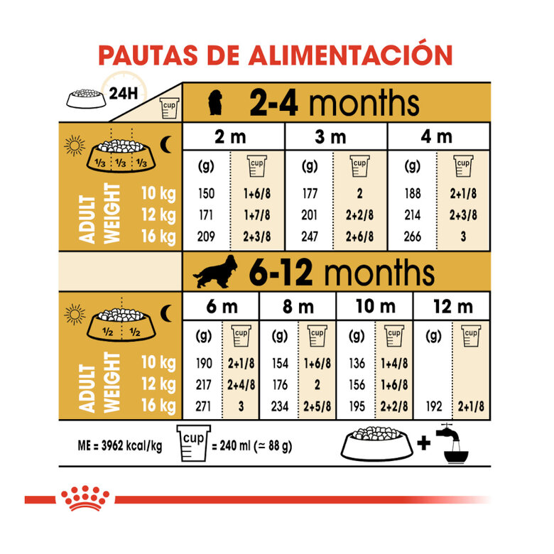 3 kg Royal Canin Puppy Cocker ração para cães,  Imagem número 9 3 kg Royal Canin Puppy Cocker ração para cães, , large Imagem número 9